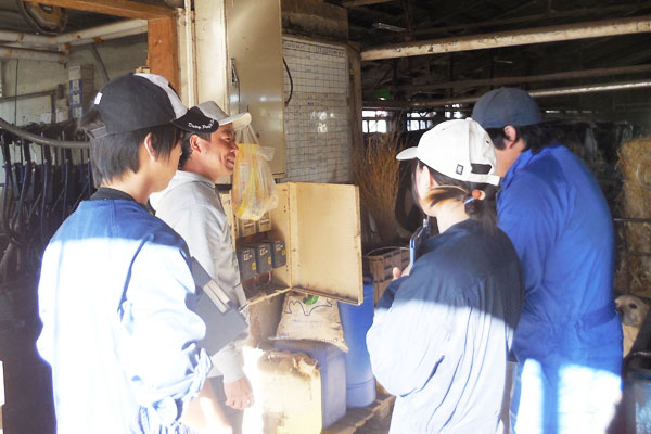 酪農家から仕事内容を教えてもらう